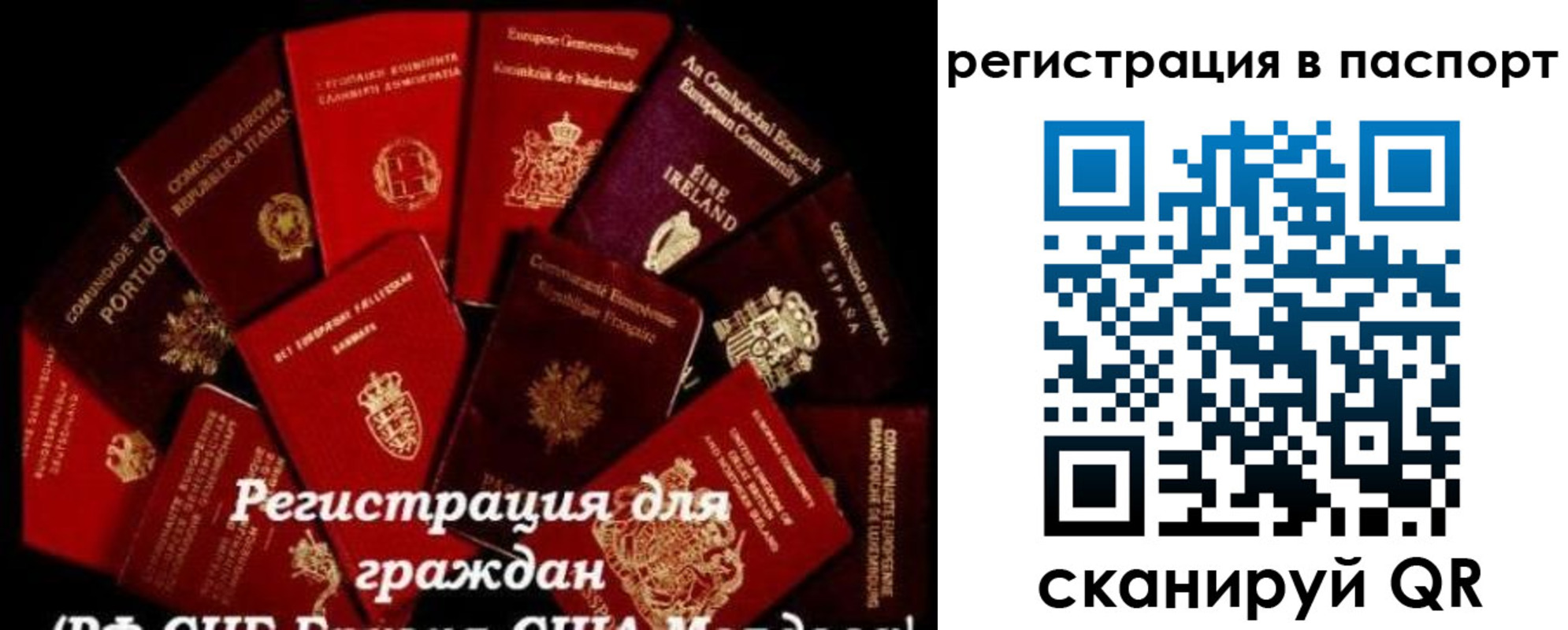 миграционный учет в Новом Осколе